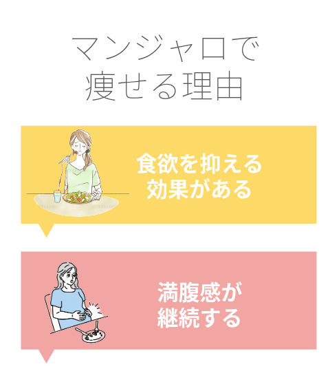 マンジャロ注射で痩せる理由を説明するイラスト