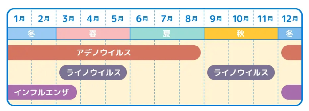 ウイルスの活動時期