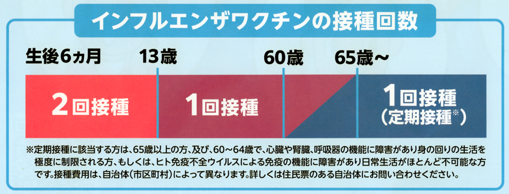 年齢別接種可能ワクチン