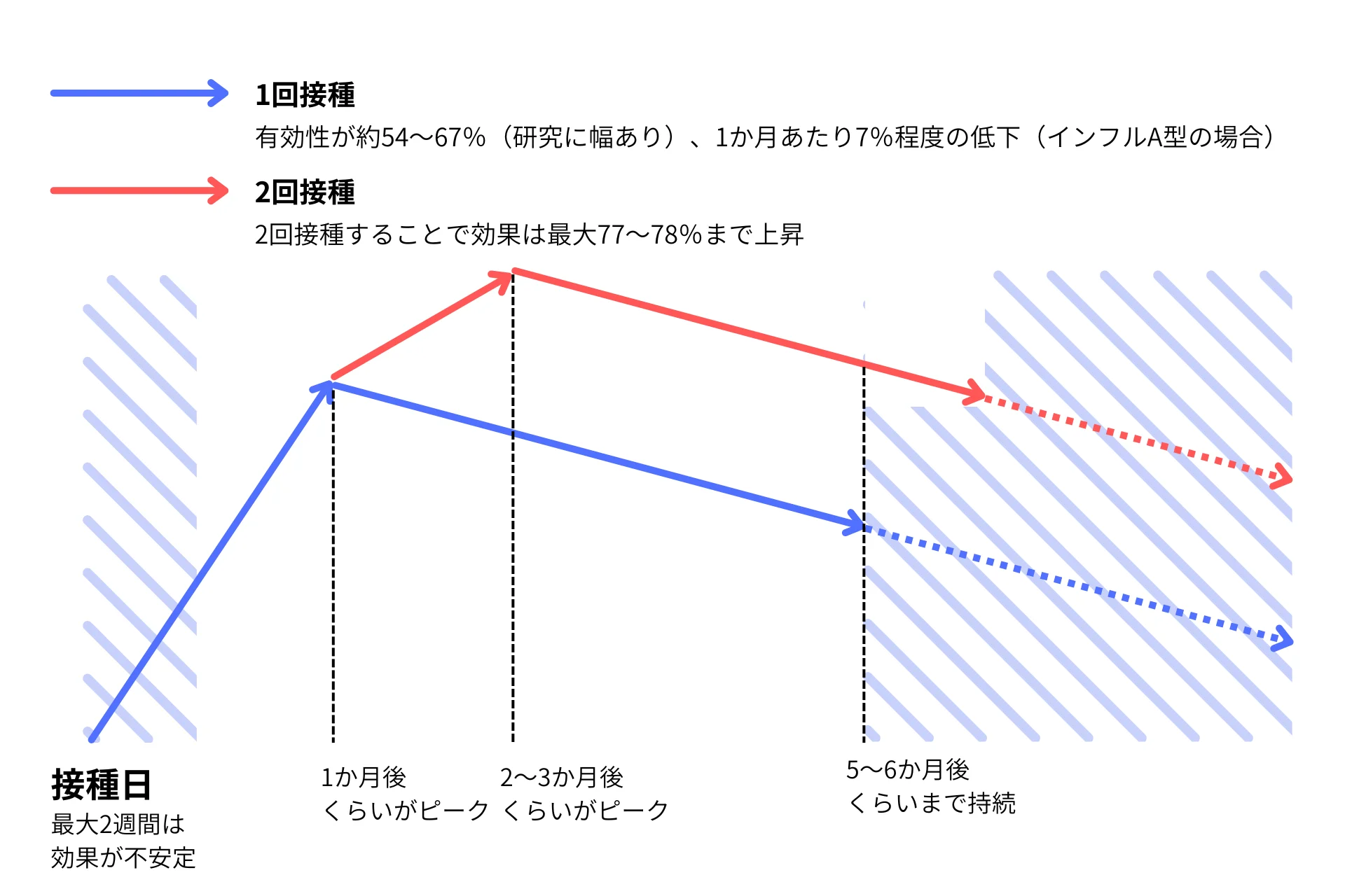 インフルエンザワクチン接種後の抗体価推移 A型とB型の減衰速度比較